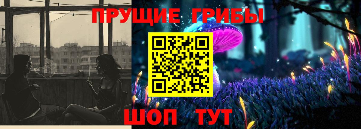 Галлюциногенные грибы Cubensis  Галлюциногенные грибы прущие грибы  Вход с VPN  Кольчугино 